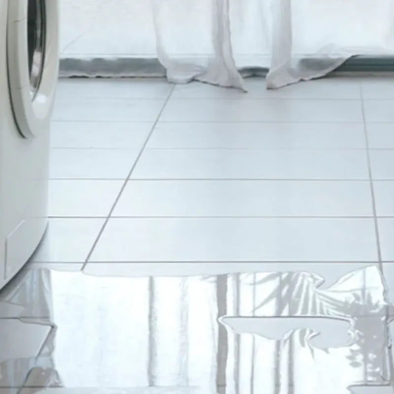 Appliance Leak Cleanup in Walters, OK