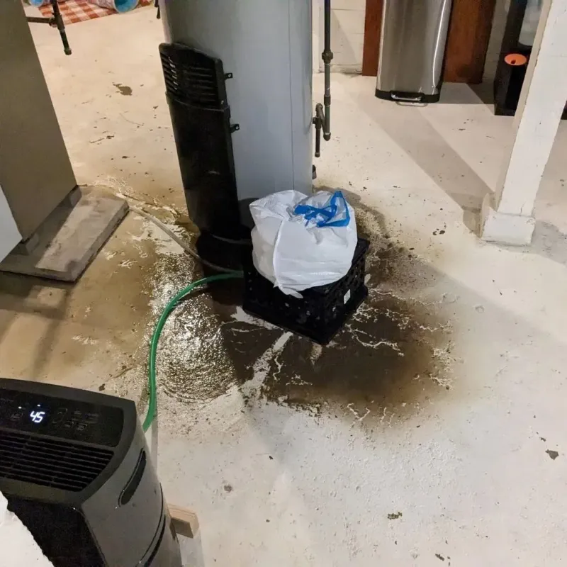 Sewage Backup Cleanup Service in Walters, OK